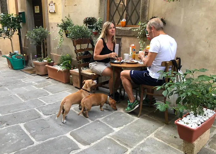 Casa Dreosti 4* Cortona